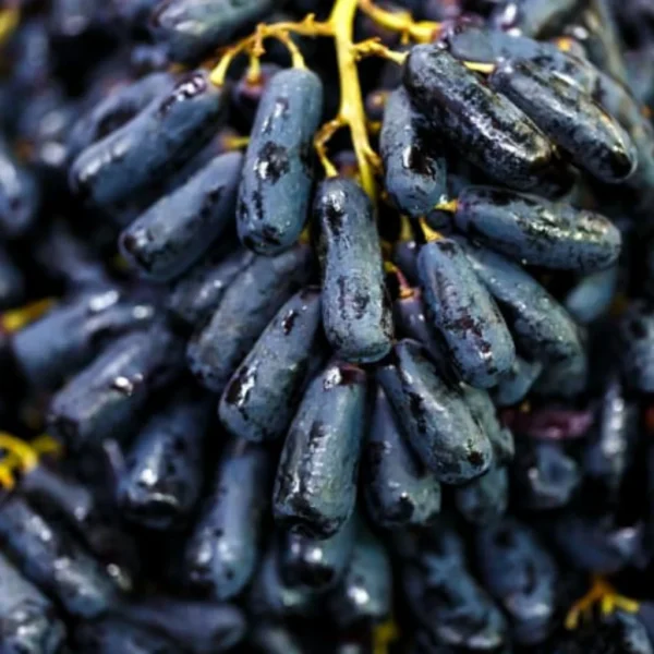 Australia Sweet Sapphire Grape [900G]