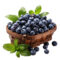 Berry