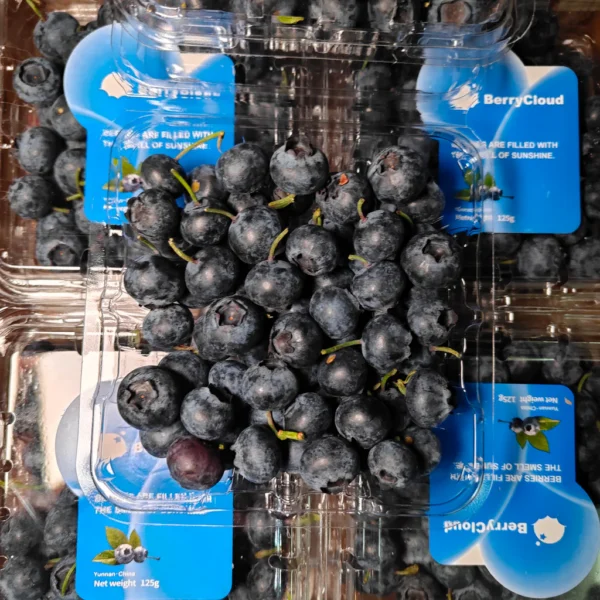China Blueberry (125g/pack)