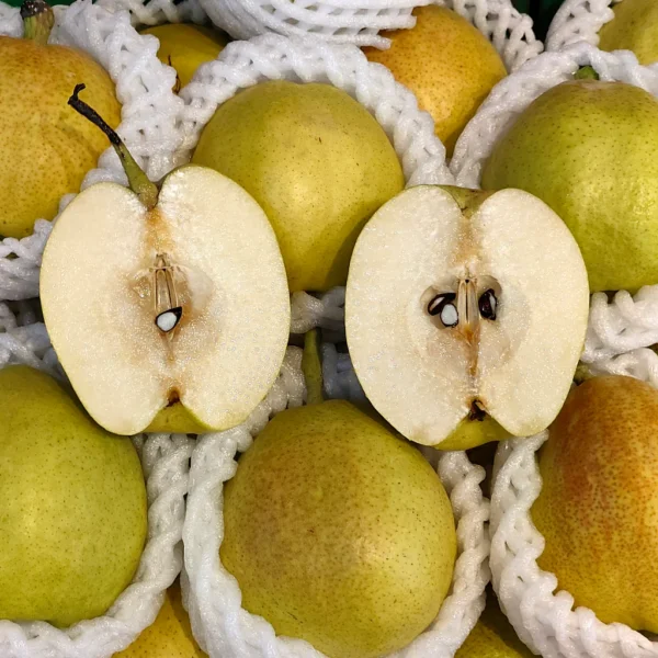 China Fragrant Pear [5 Pcs]