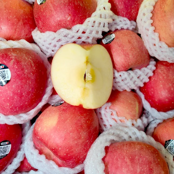 China Fuji Apple (L) [3 Pcs]