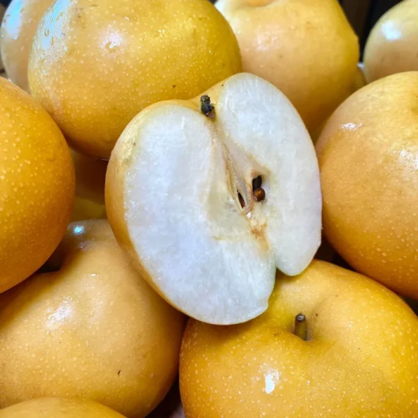 China Singo Pear (M) [4 Pcs]
