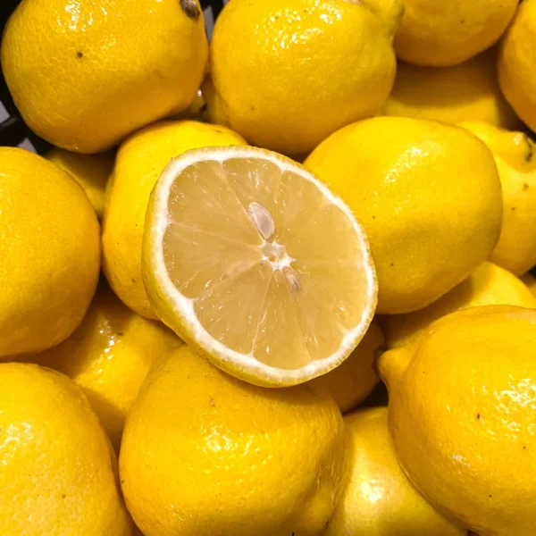 Egypt Lemon (S)