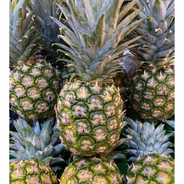 Malaysia MD2 Pineapple [+/-2Kg]