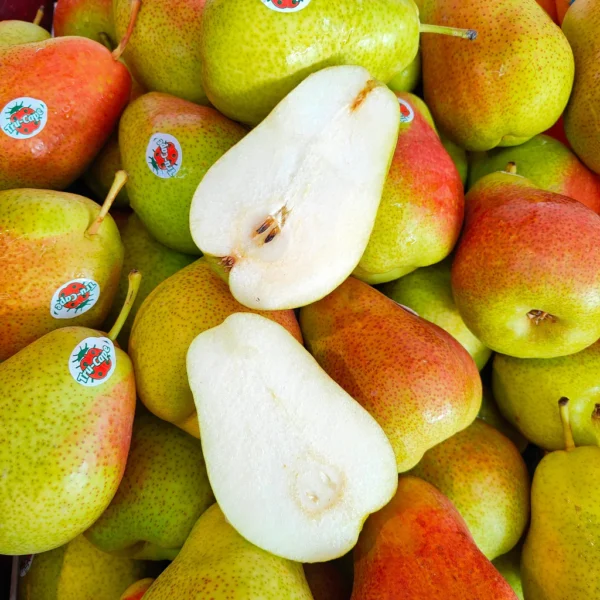 South Africa Forelle Pear (M) [4 Pcs]