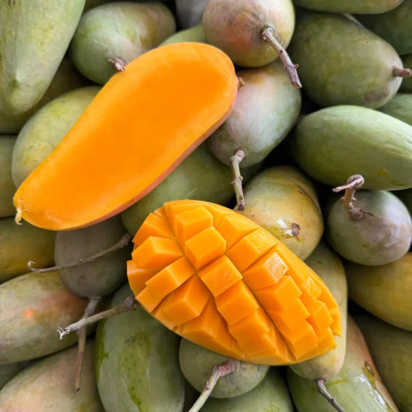 Thailand-Mahachanok-Mango-1_3Kg-Exotic-Fruits-