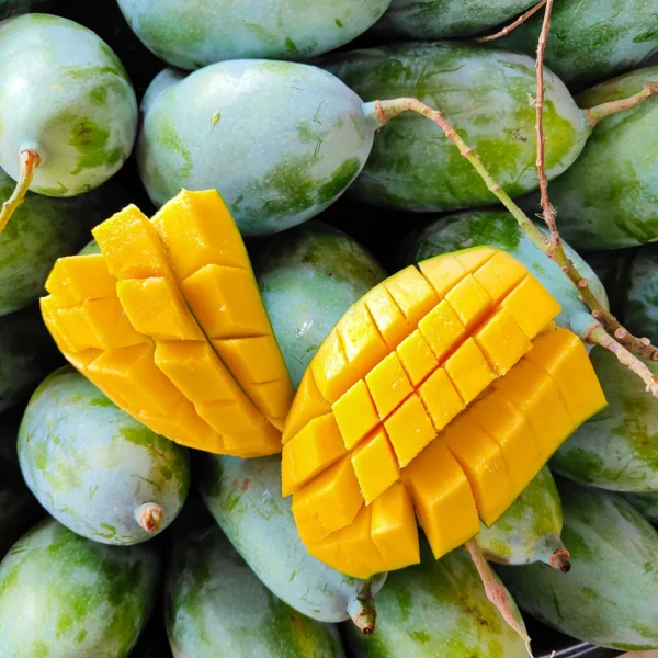 Thailand Mango 3 Rasa [+/-1.4Kg]