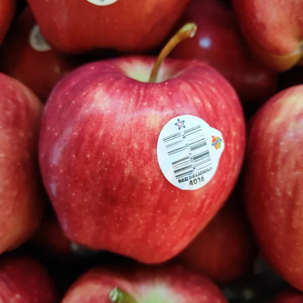USA Red Delicious Apple (M) [3 Pcs]