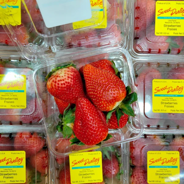 USA Strawberry [250G/Pack]