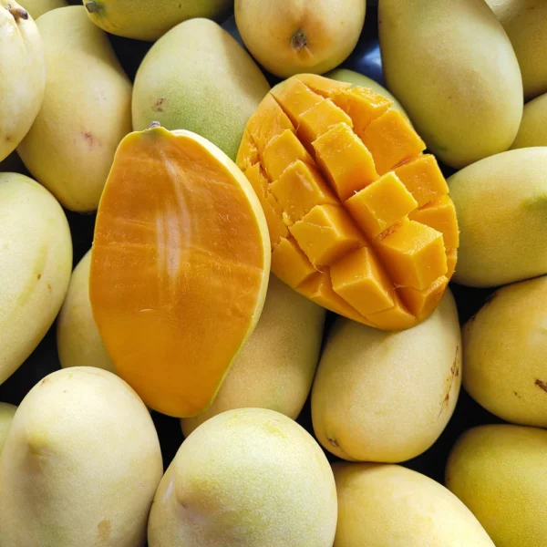 Vietnam Mango Susu Gold (M) [+/-1.0Kg]