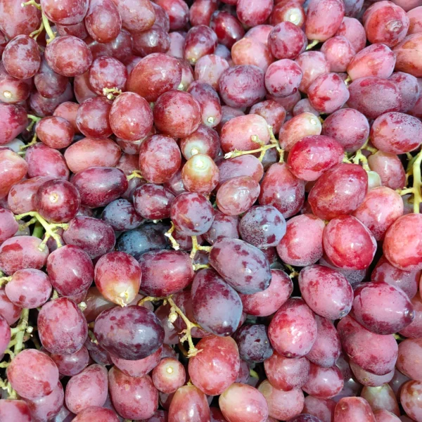 Australia Crunchy Pop Grape (Loose) [900G]