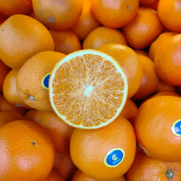 China Orange Navel (S) [5 Pcs]