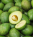 avocado black leaf