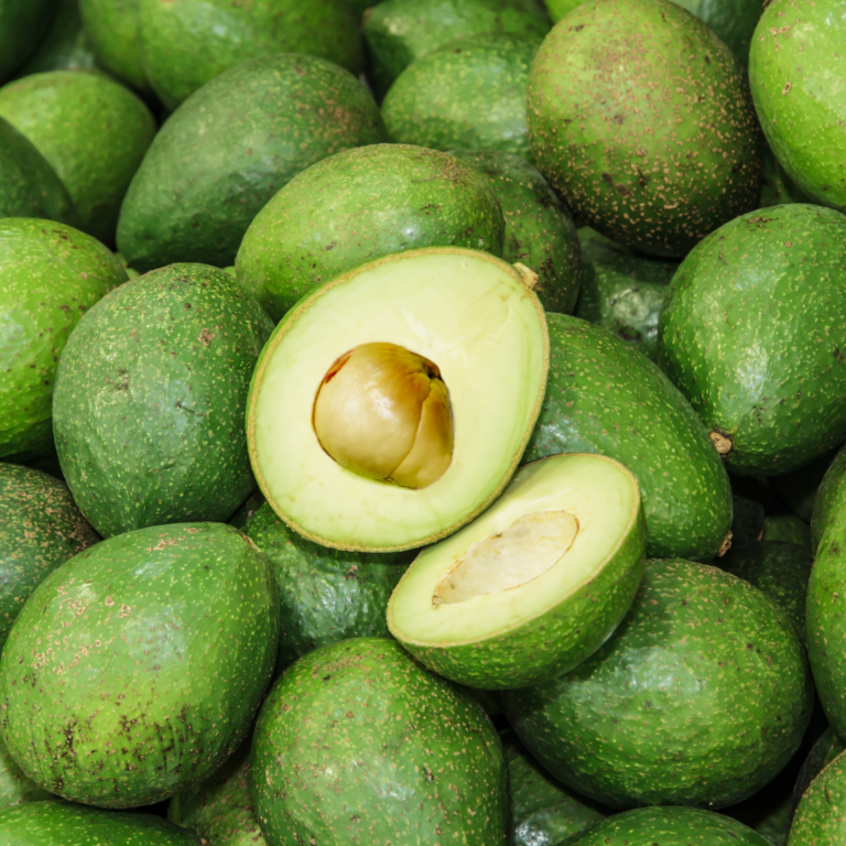 avocado black leaf